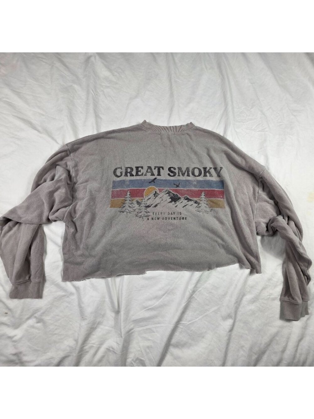 Urban Nation Great Smoky Mountains Crop Sweatshirt Womens XL Gray Raw Hem Retro